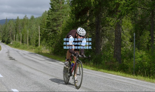 切尔西紧急评估帕尔默伤情，博纳诺特缺席关键战引布莱顿锋线危机