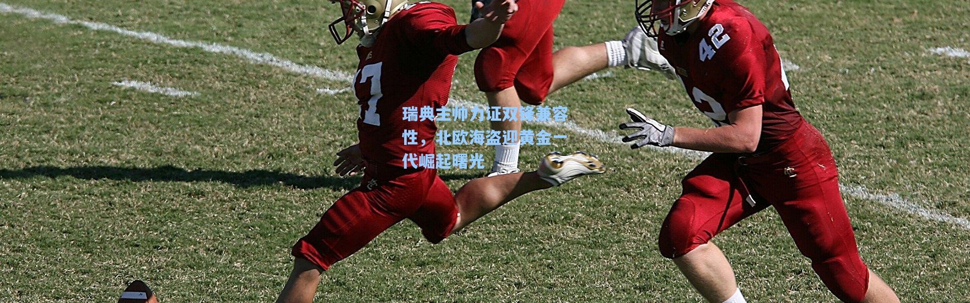 瑞典主帅力证双锋兼容性，北欧海盗迎黄金一代崛起曙光