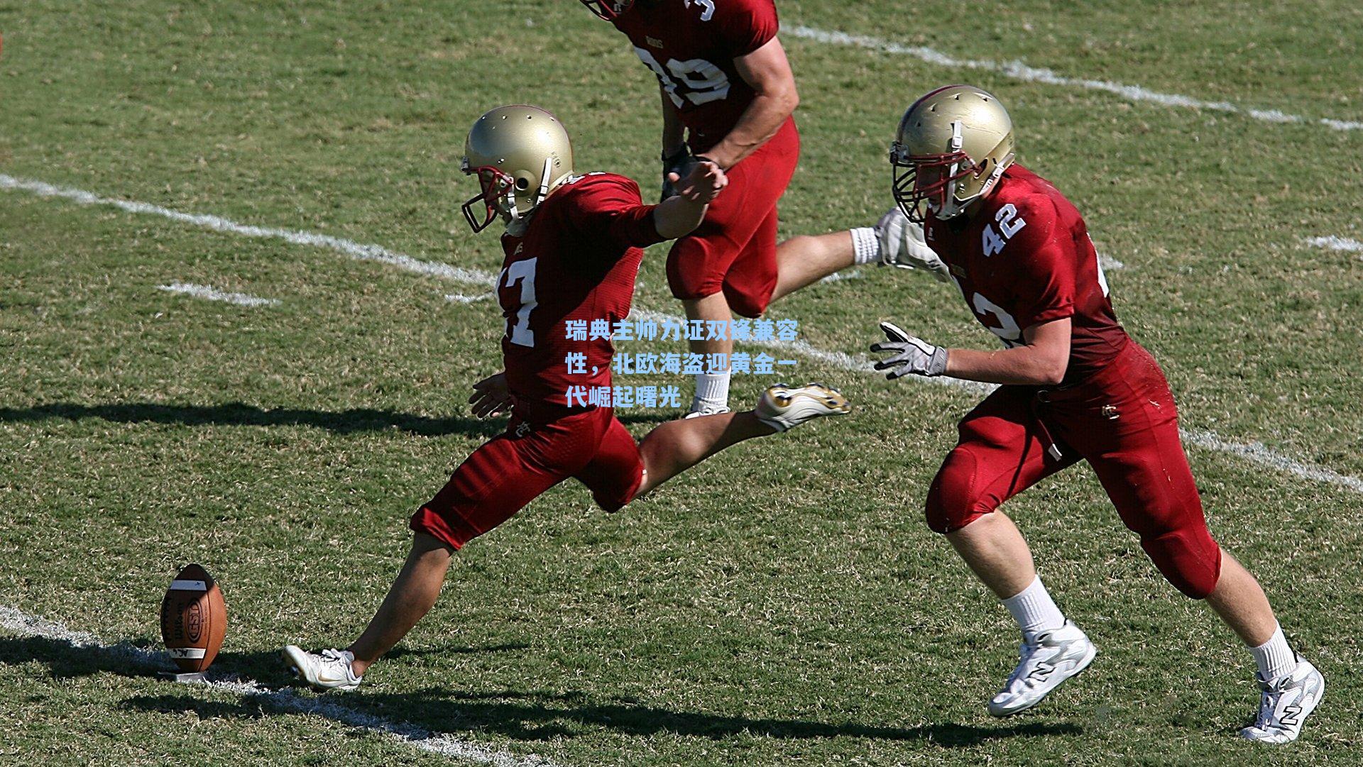 瑞典主帅力证双锋兼容性，北欧海盗迎黄金一代崛起曙光